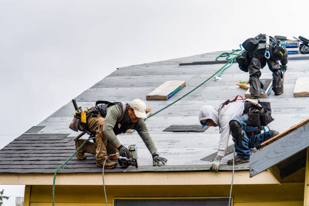 Professional Storm Damage Roof Repair technician working in Waterman, IL